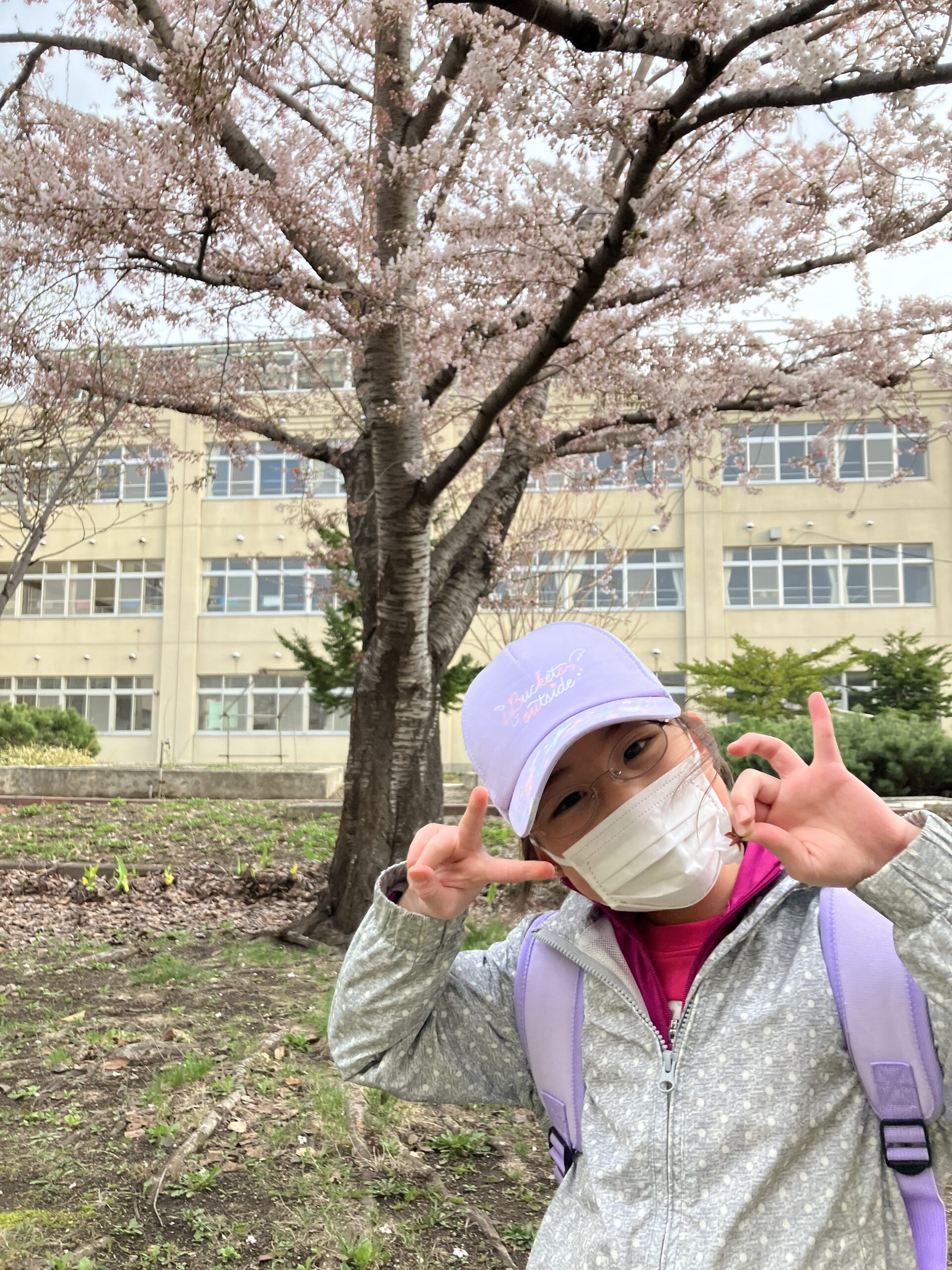 初級クラスと桜のご褒美🌸こども英会話アップル