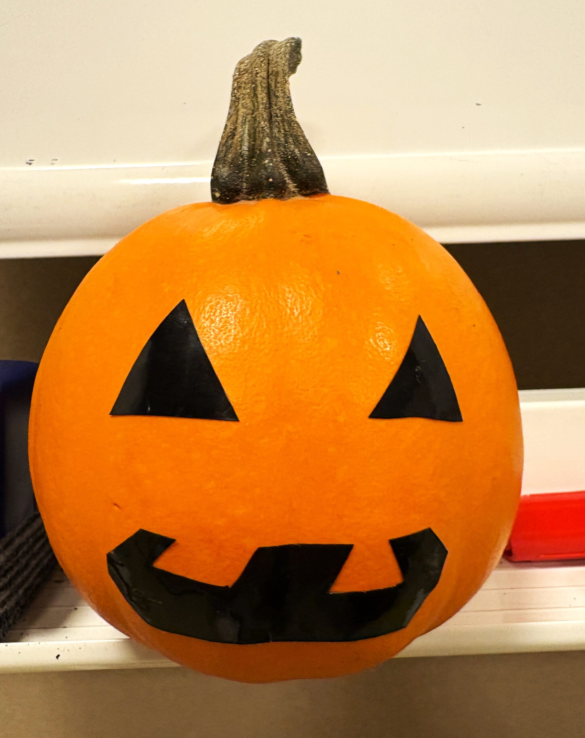 11/1土曜日 インターナショナルスクールへの日帰りツアー開催します🎃