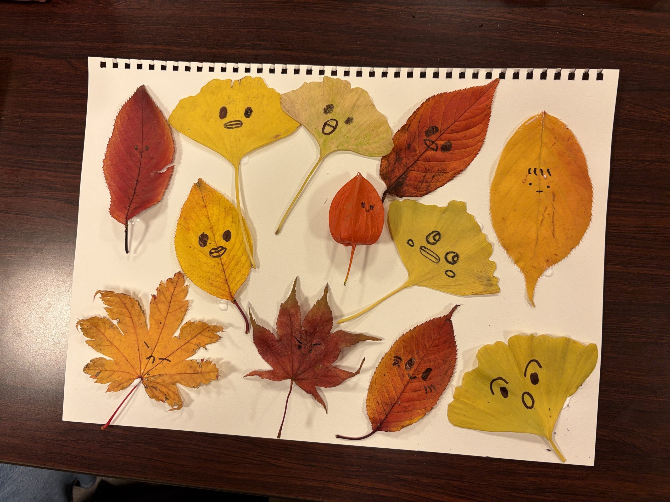 Fall 🍁紅葉アートday